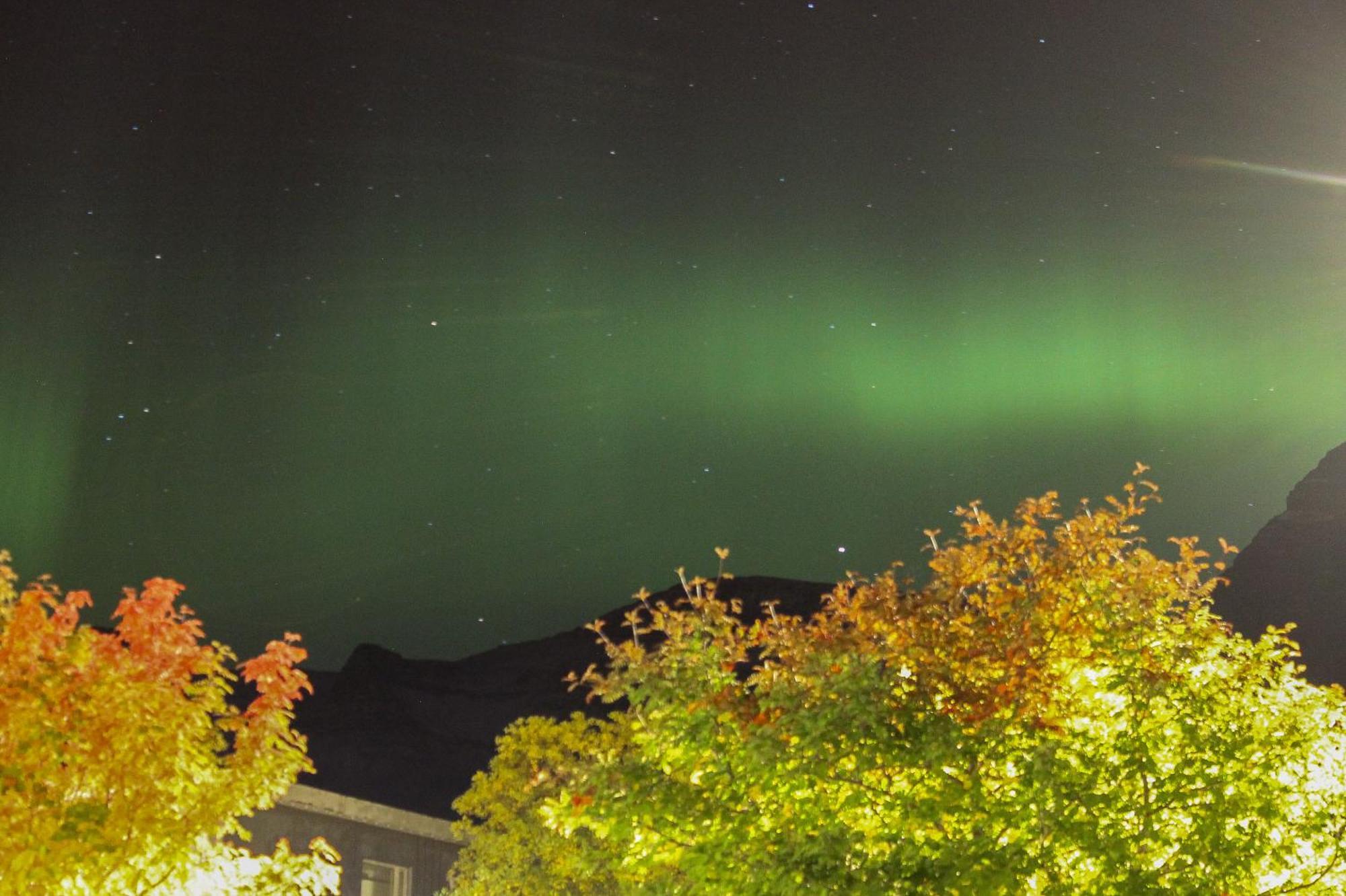 Hotel Austur Reydarfjordur Dış mekan fotoğraf